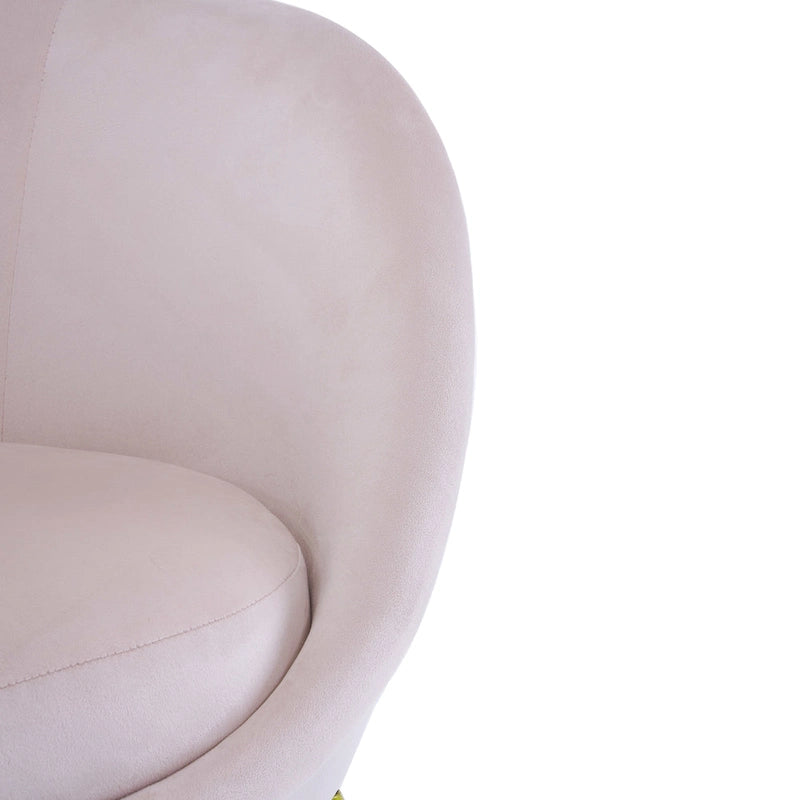 Christopher Knight Home - Eliana Modern Teddy Fabric Accent Chair with Curved Backrest and Gold Legs