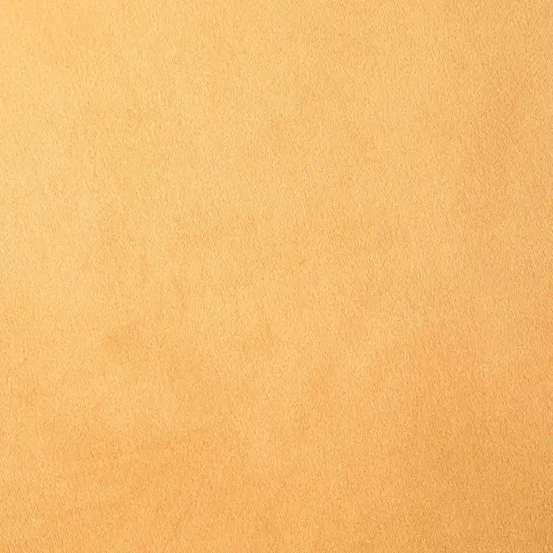 Belgique Velvety Indoor Pouf by Gouchee Home