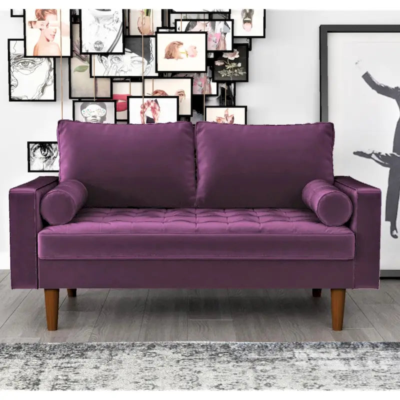 Luis Mid-century Modern Tufted Velvet Loveseat - N/A