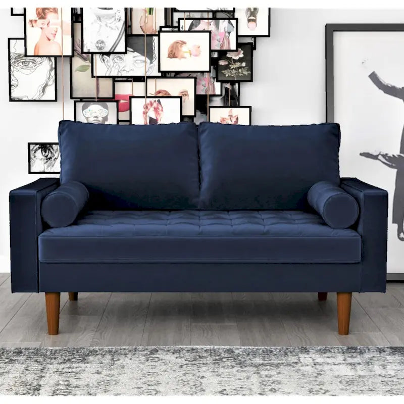 Luis Mid-century Modern Tufted Velvet Loveseat - N/A